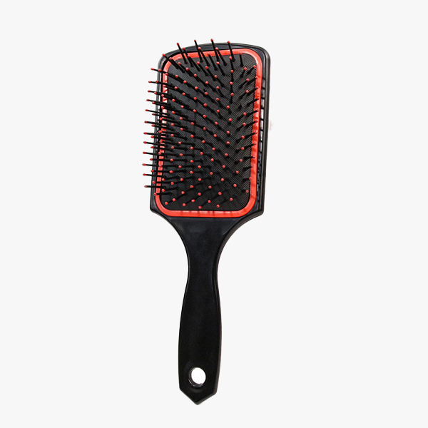 PADDLE BRUSH in Namibia PADDLE BRUSH in Namibia